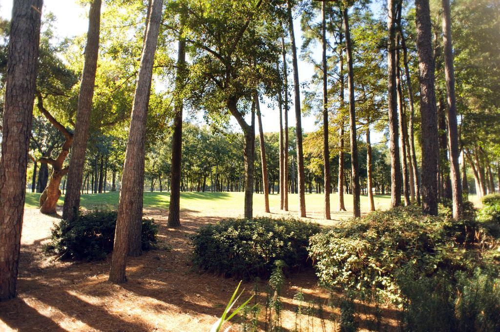Pawleys Plantation Golf & Country Club 3* Pawleys Island