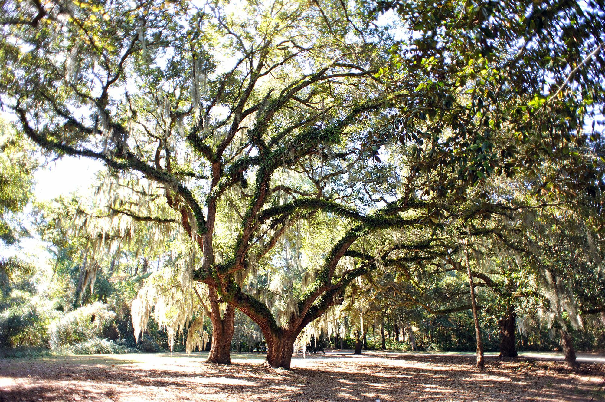 Pawleys Plantation Golf & Country Club